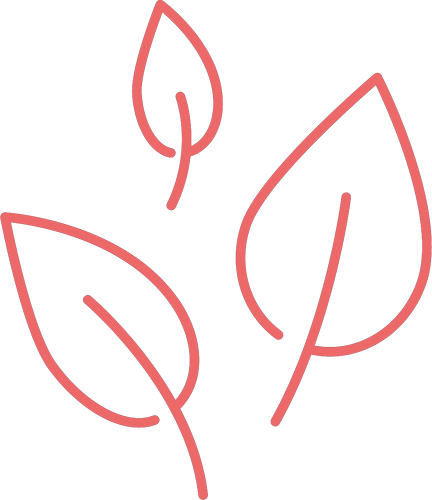 Individuelle Beratung